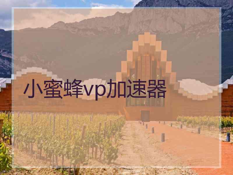 小蜜蜂vp加速器