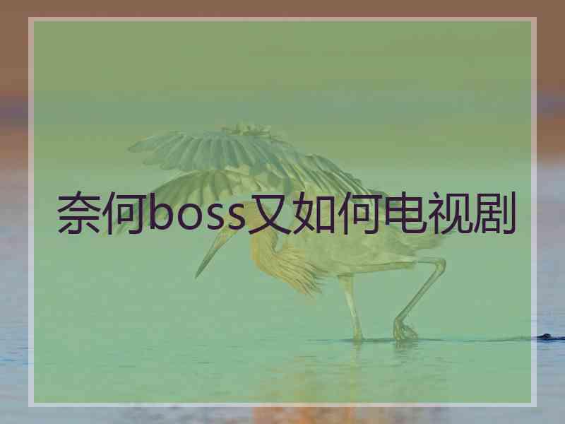 奈何boss又如何电视剧