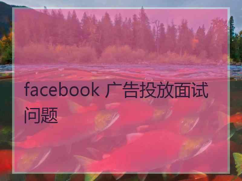 facebook 广告投放面试问题