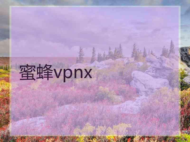 蜜蜂vpnx