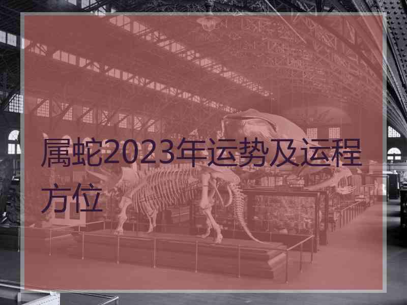 属蛇2023年运势及运程方位