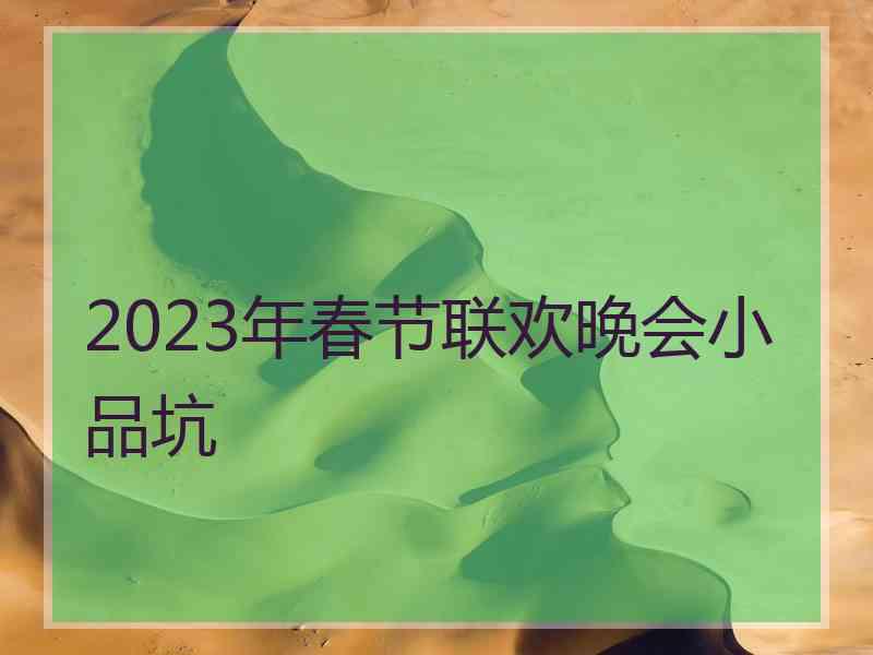 2023年春节联欢晚会小品坑