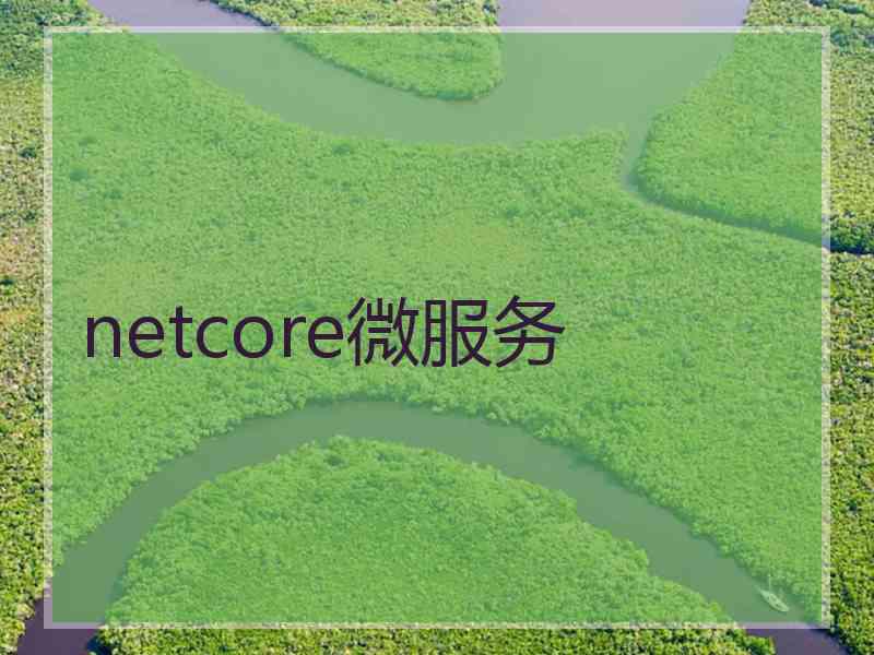 netcore微服务