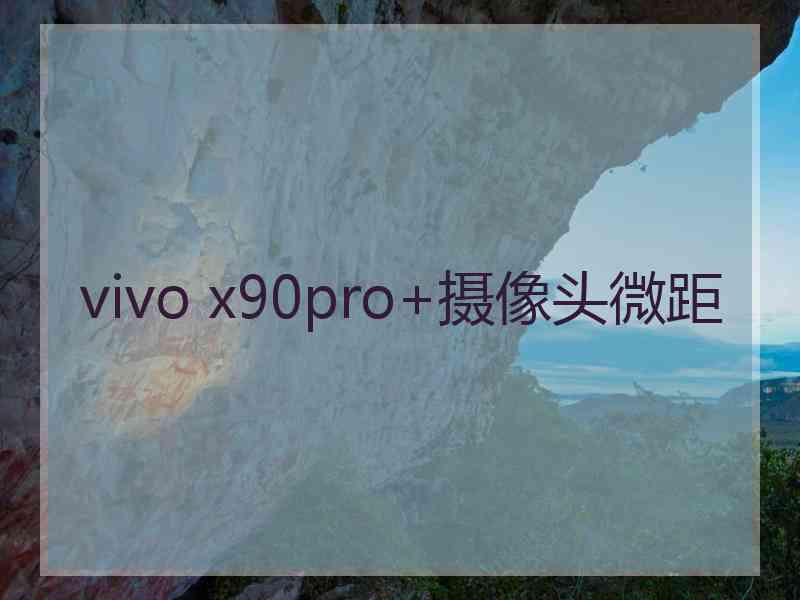 vivo x90pro+摄像头微距