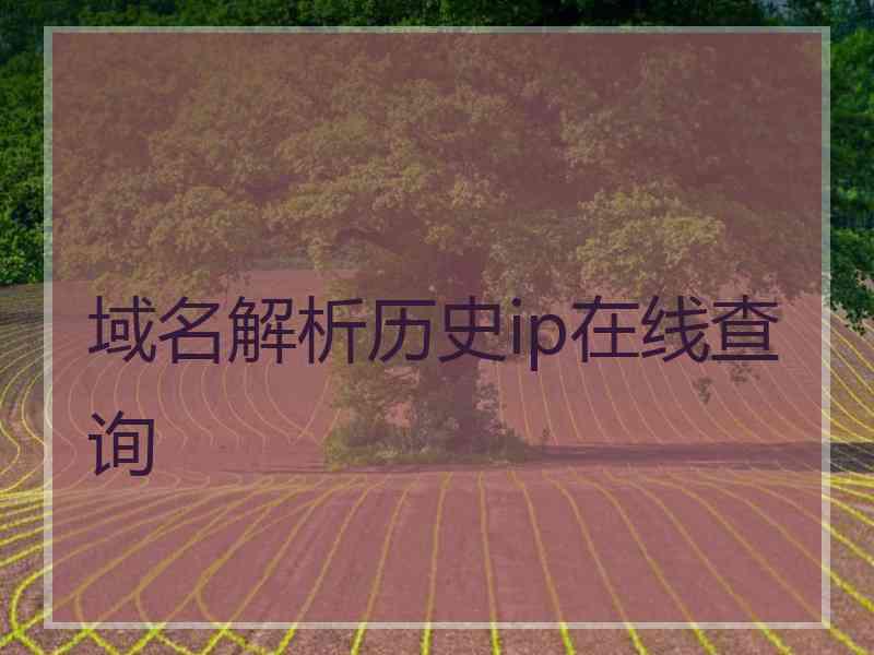 域名解析历史ip在线查询