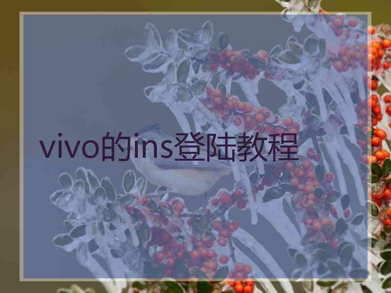 vivo的ins登陆教程