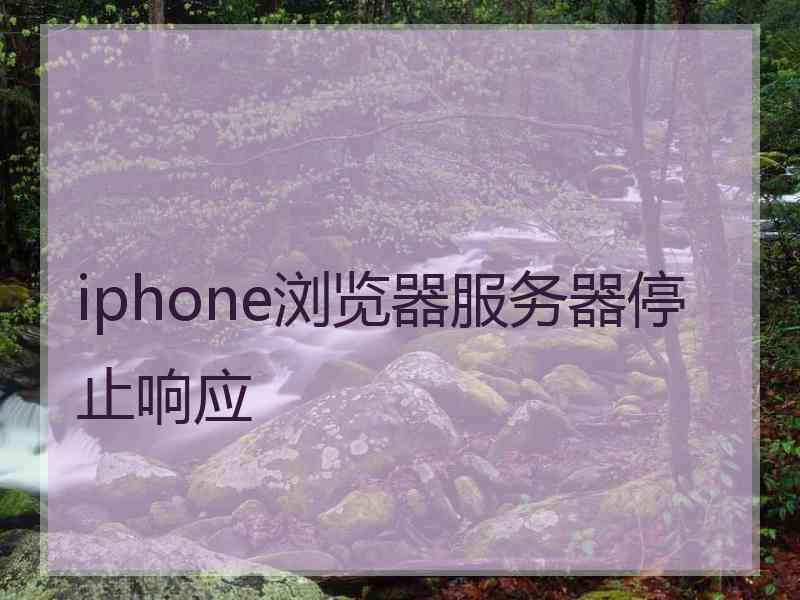 iphone浏览器服务器停止响应