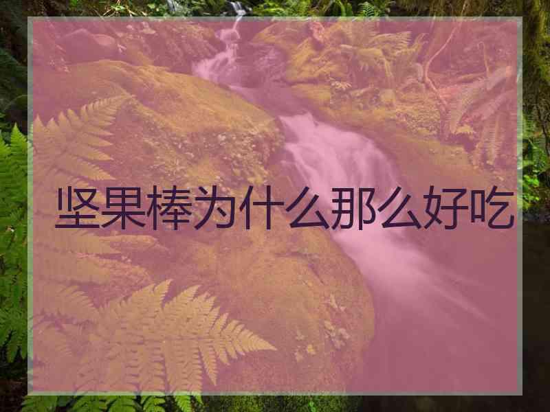 坚果棒为什么那么好吃