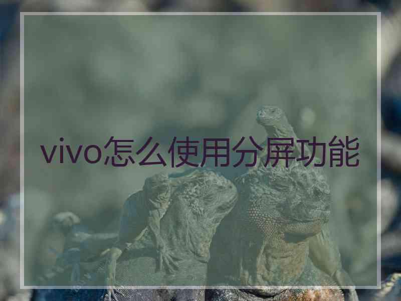 vivo怎么使用分屏功能