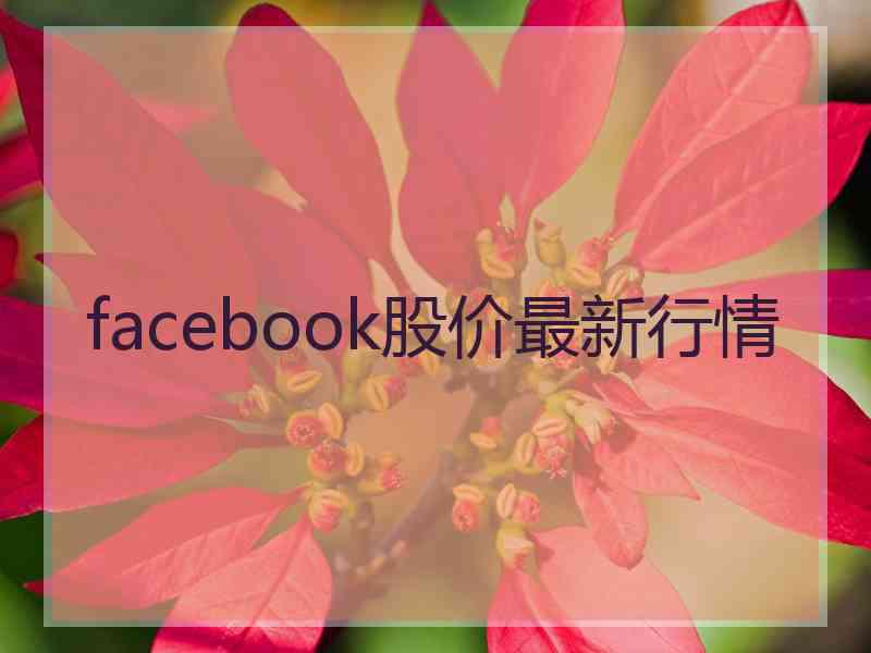 facebook股价最新行情