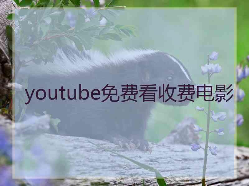 youtube免费看收费电影