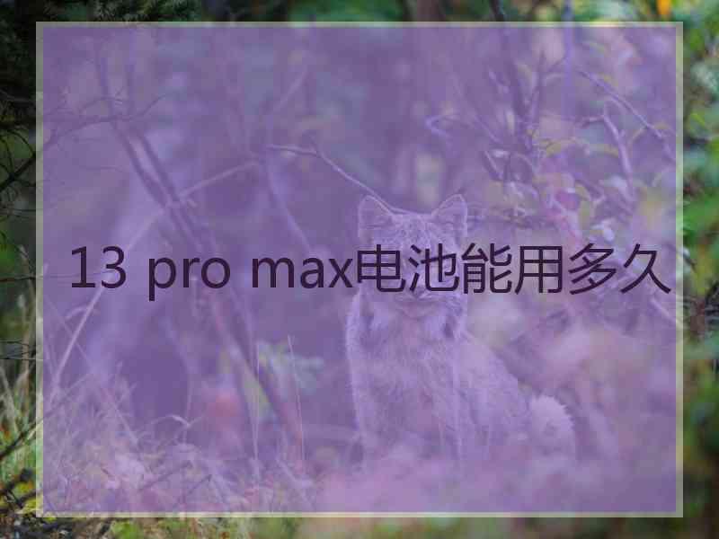 13 pro max电池能用多久