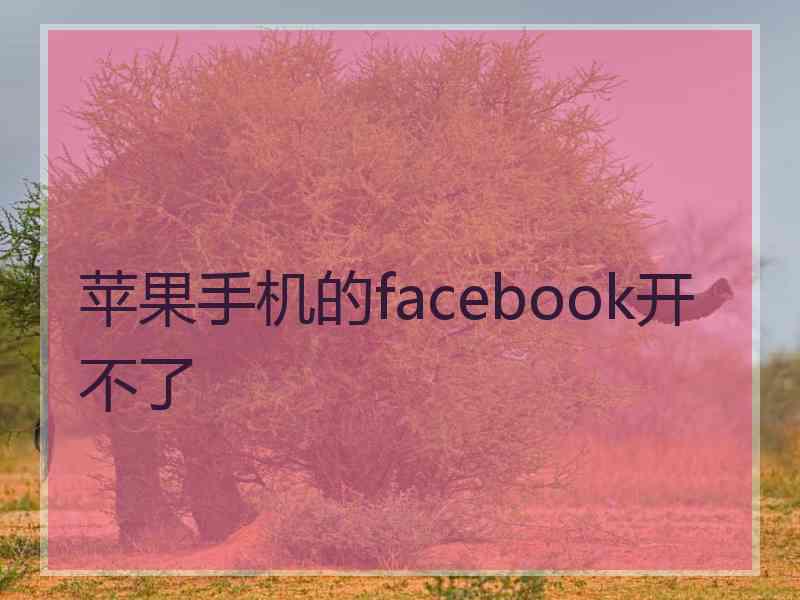 苹果手机的facebook开不了