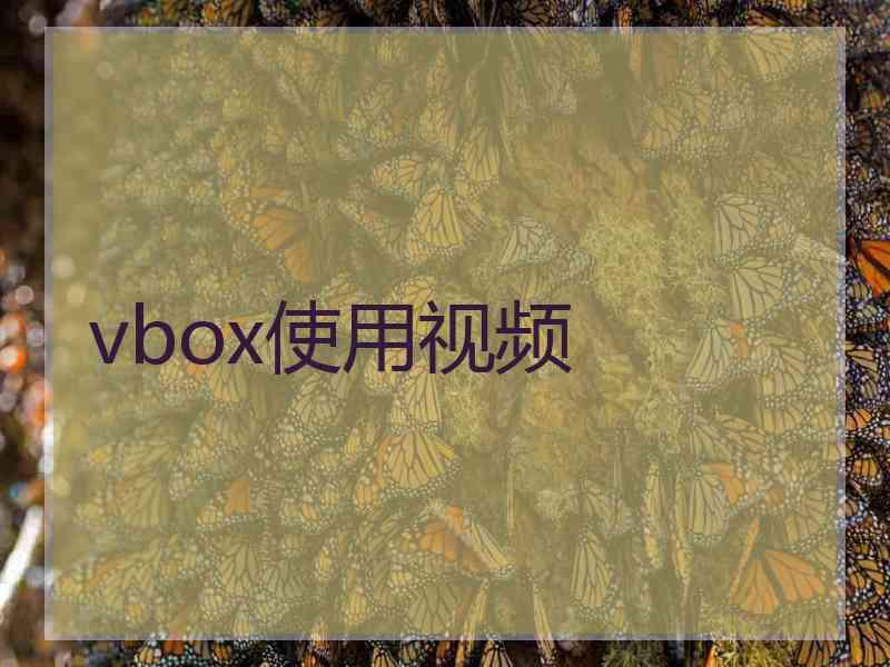 vbox使用视频