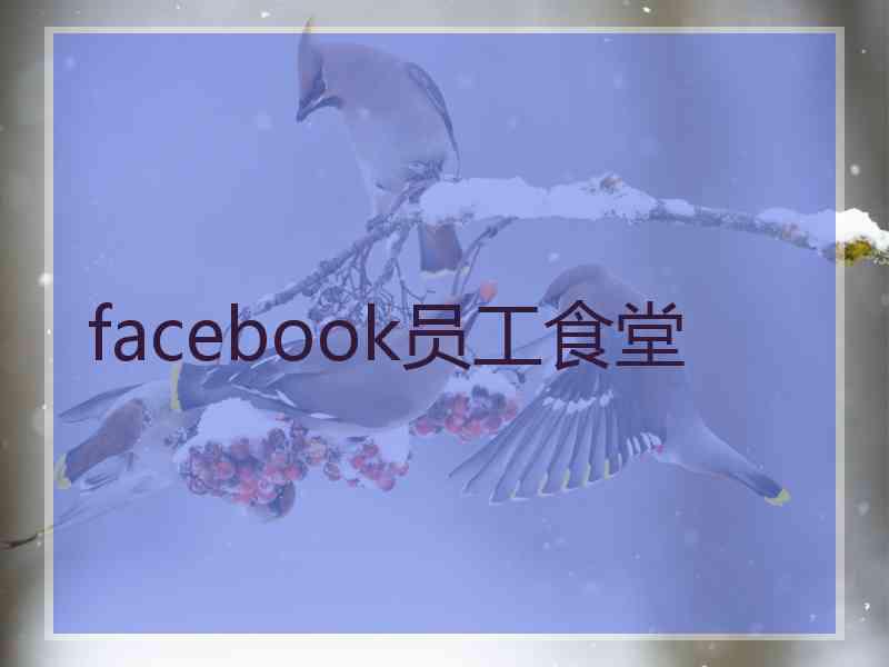 facebook员工食堂