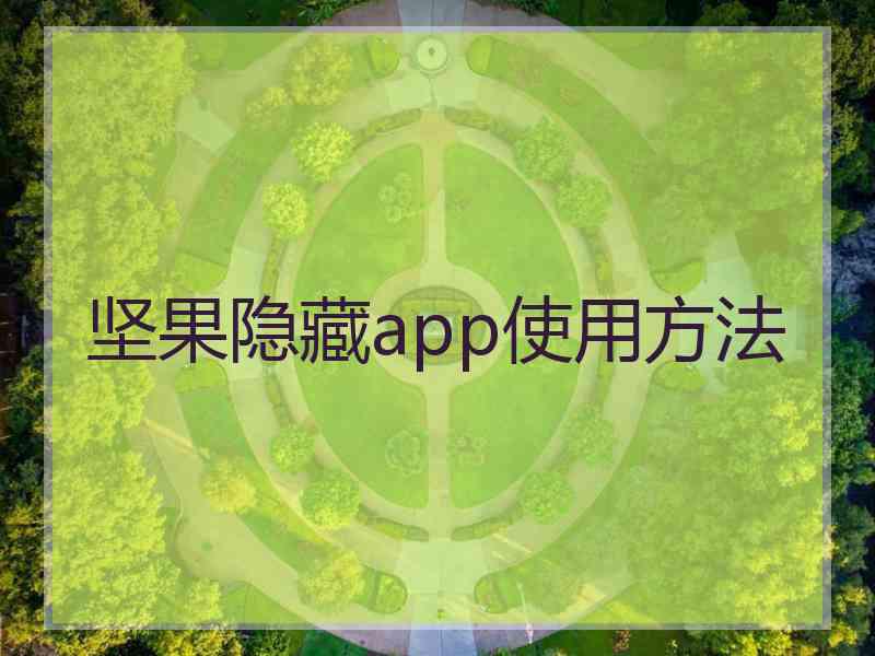 坚果隐藏app使用方法