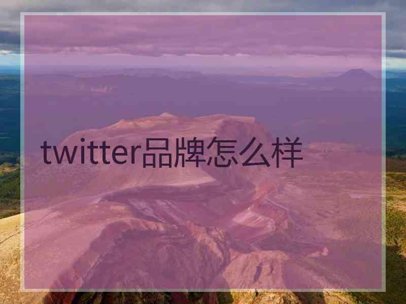 twitter品牌怎么样