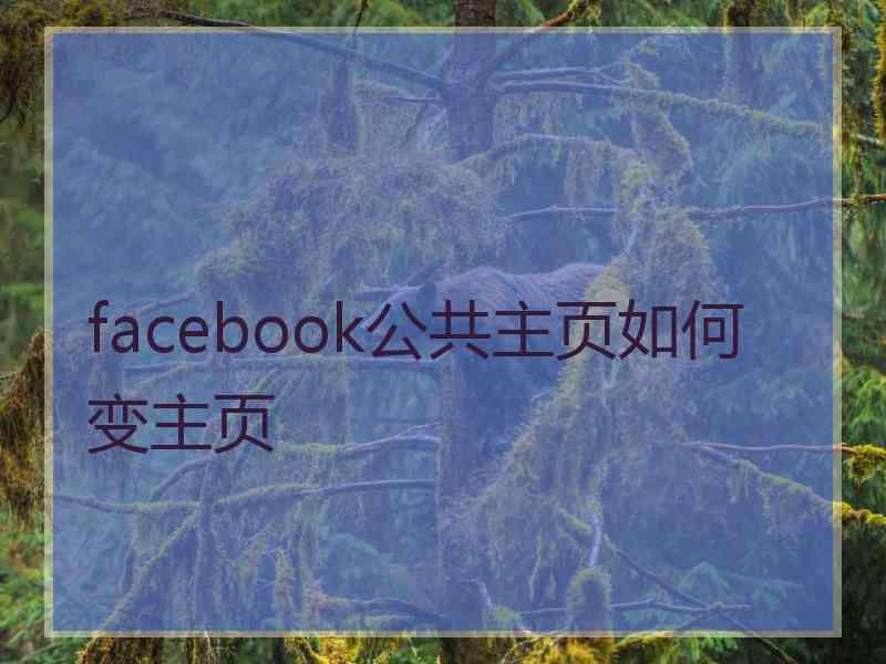 facebook公共主页如何变主页