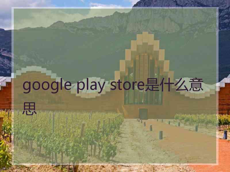 google play store是什么意思