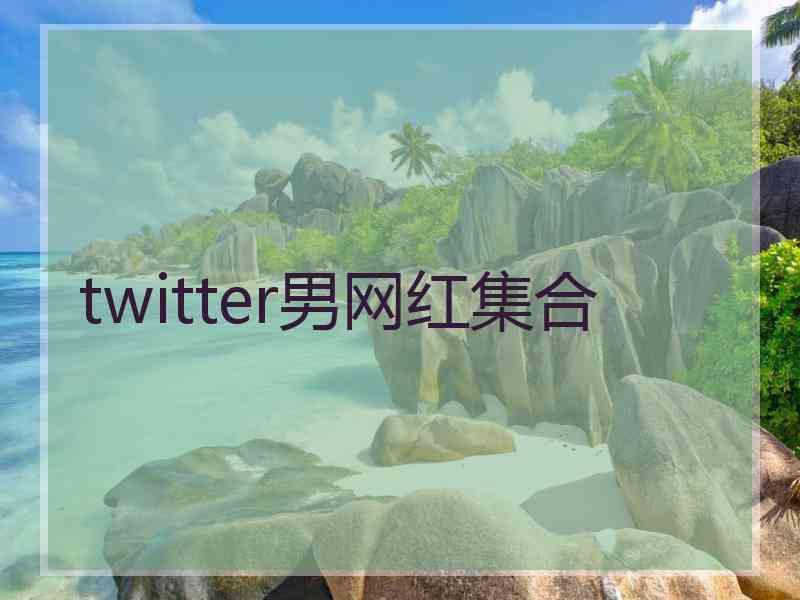 twitter男网红集合