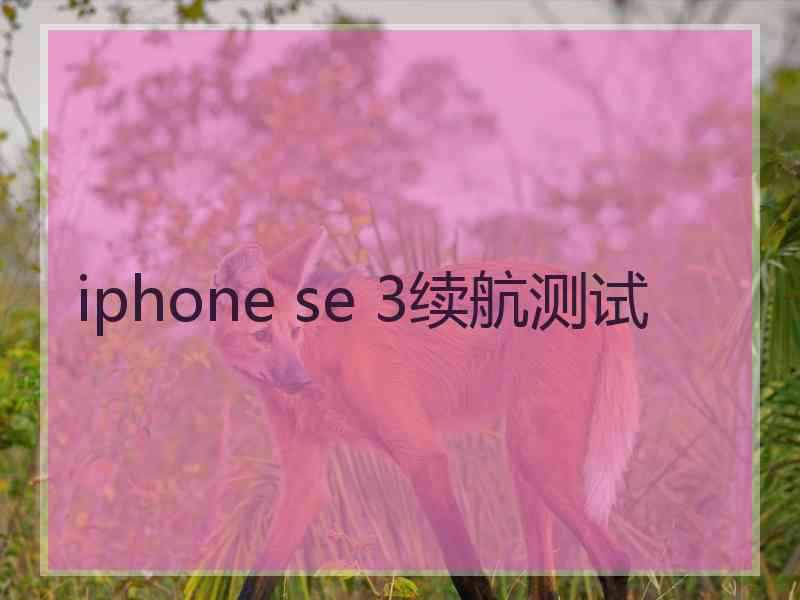 iphone se 3续航测试