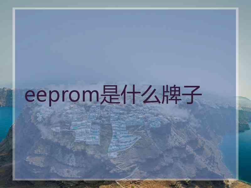 eeprom是什么牌子