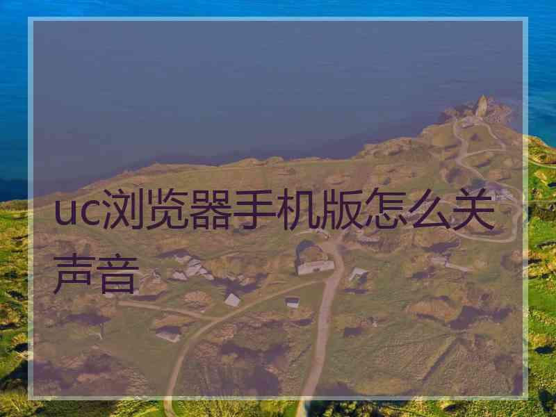 uc浏览器手机版怎么关声音