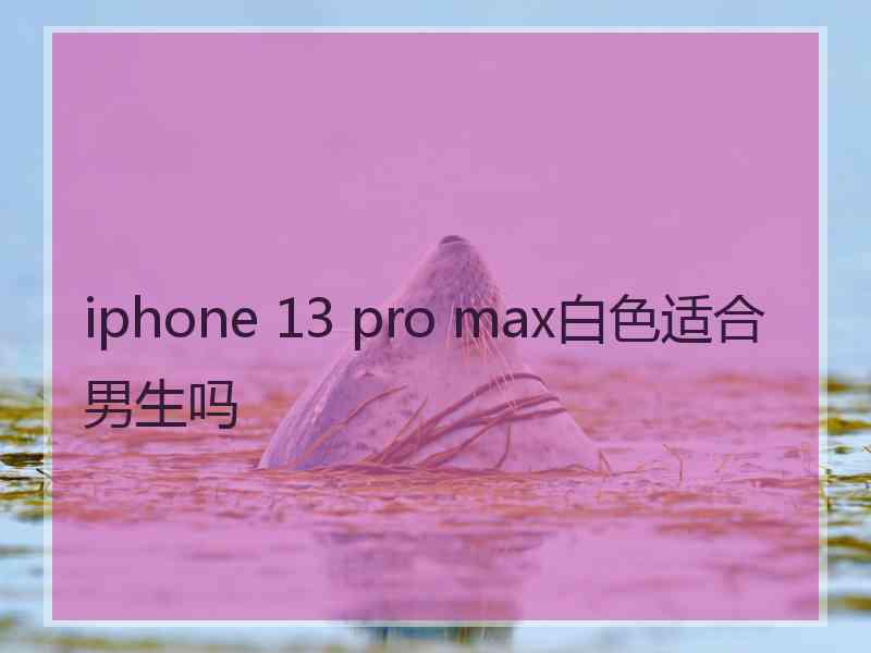 iphone 13 pro max白色适合男生吗