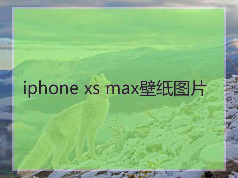 iphone xs max壁纸图片