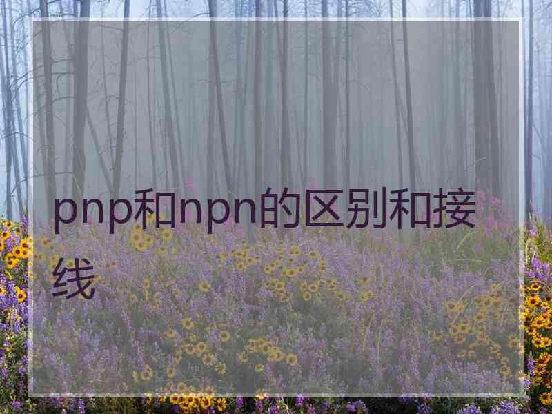 pnp和npn的区别和接线