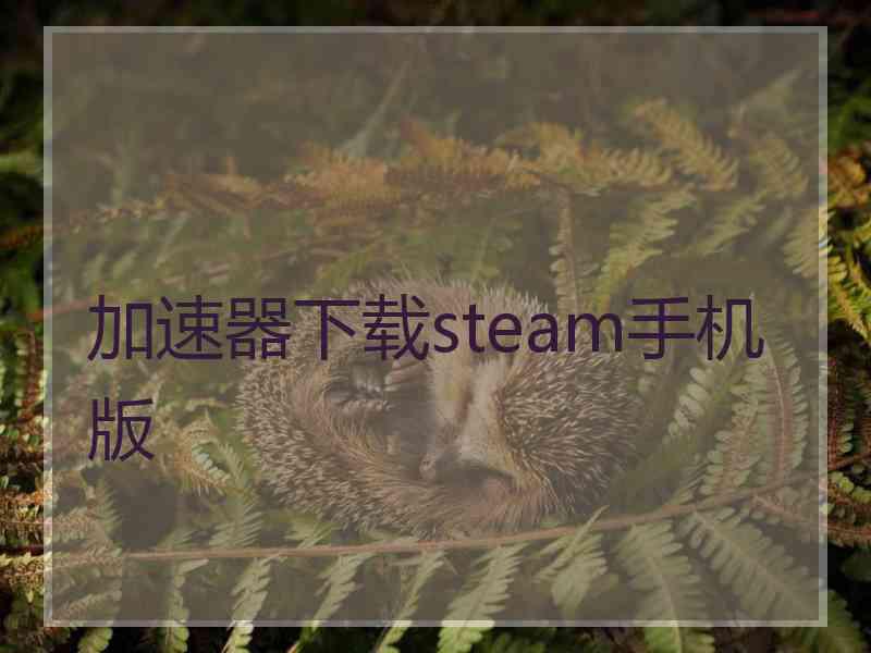 加速器下载steam手机版