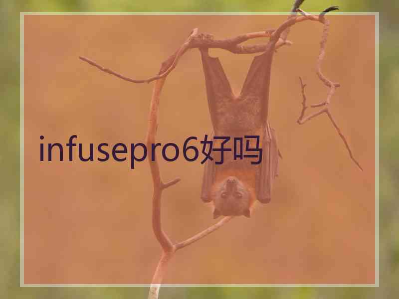 infusepro6好吗