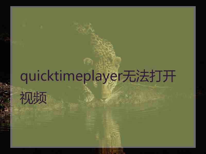 quicktimeplayer无法打开视频