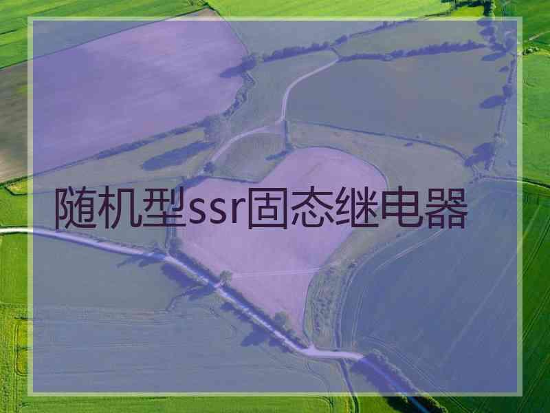 随机型ssr固态继电器