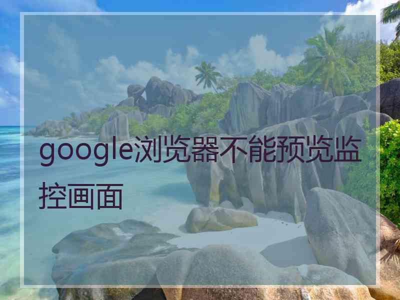 google浏览器不能预览监控画面