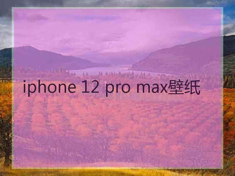 iphone 12 pro max壁纸