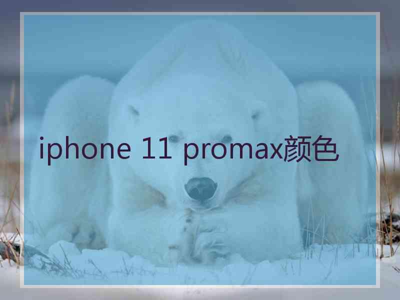 iphone 11 promax颜色