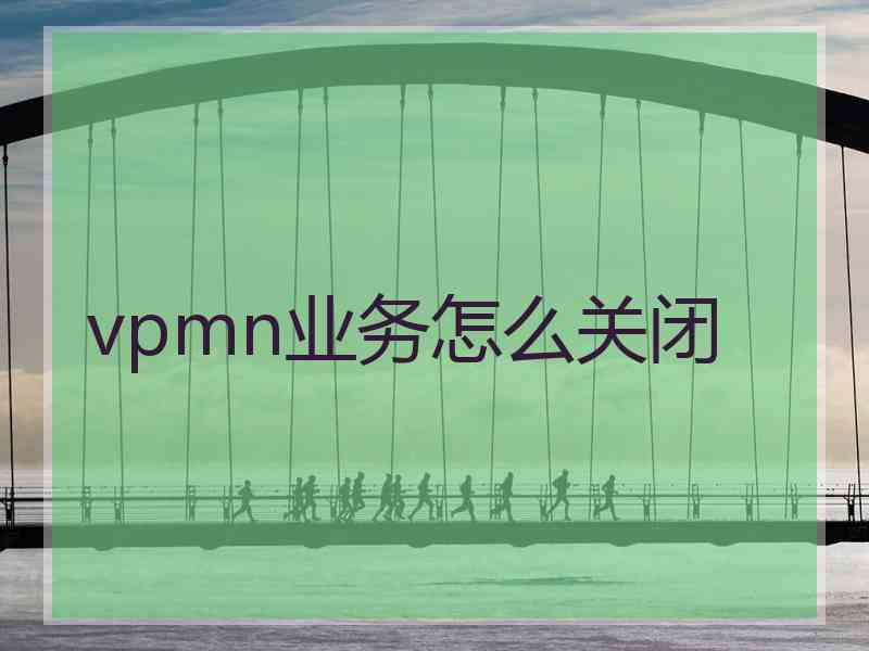 vpmn业务怎么关闭