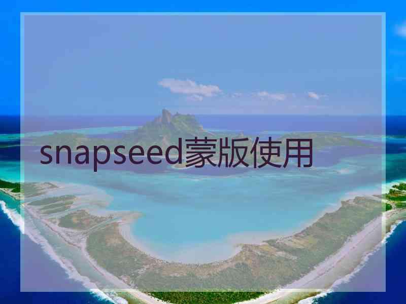 snapseed蒙版使用