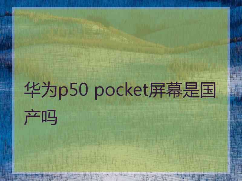 华为p50 pocket屏幕是国产吗