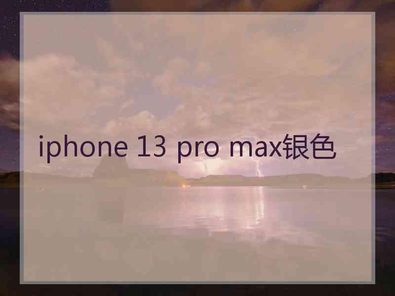 iphone 13 pro max银色