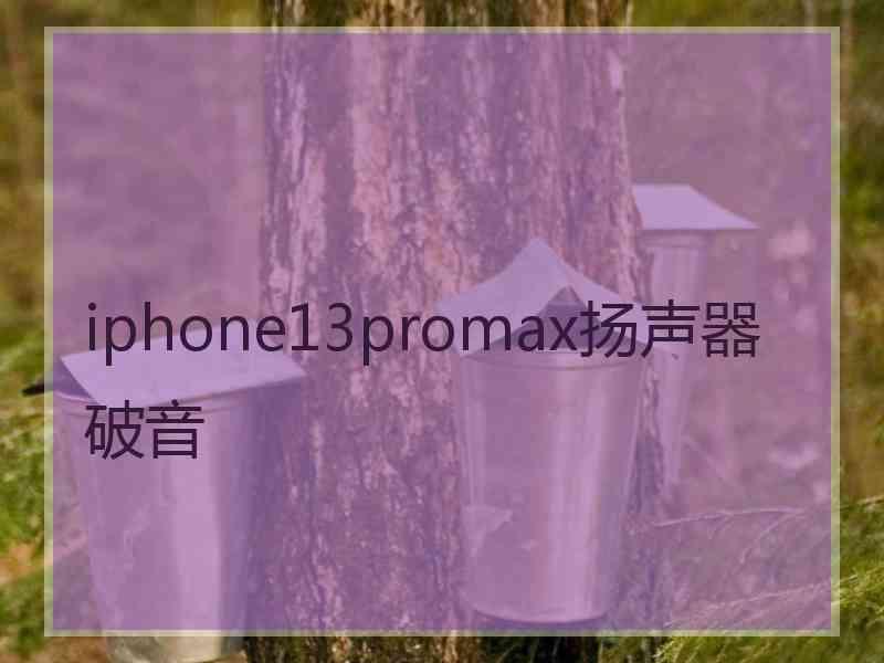 iphone13promax扬声器破音