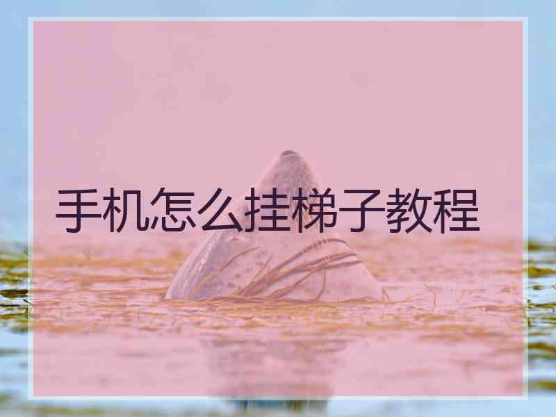 手机怎么挂梯子教程