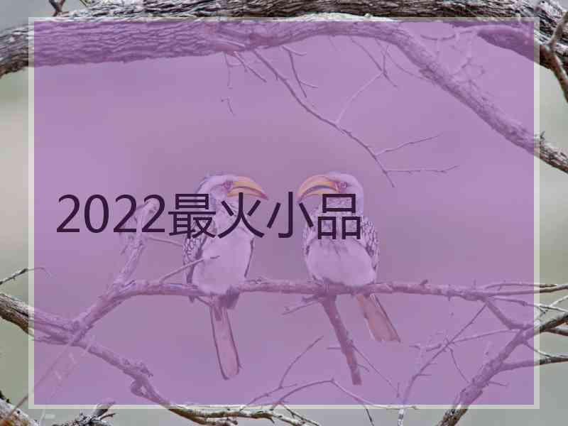 2022最火小品