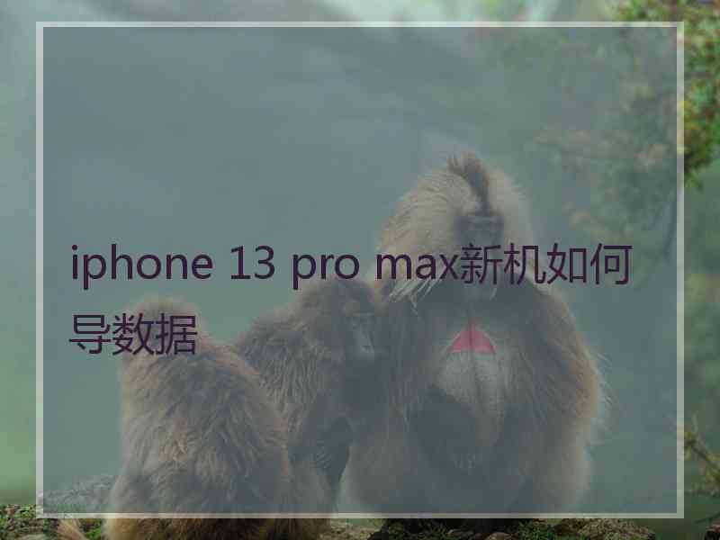 iphone 13 pro max新机如何导数据