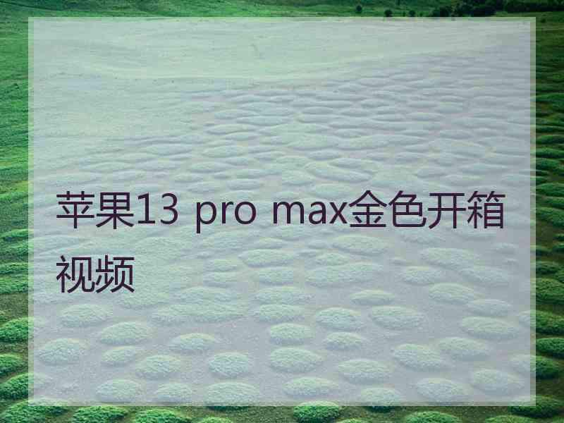 苹果13 pro max金色开箱视频