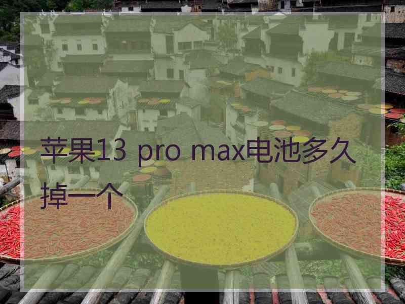 苹果13 pro max电池多久掉一个