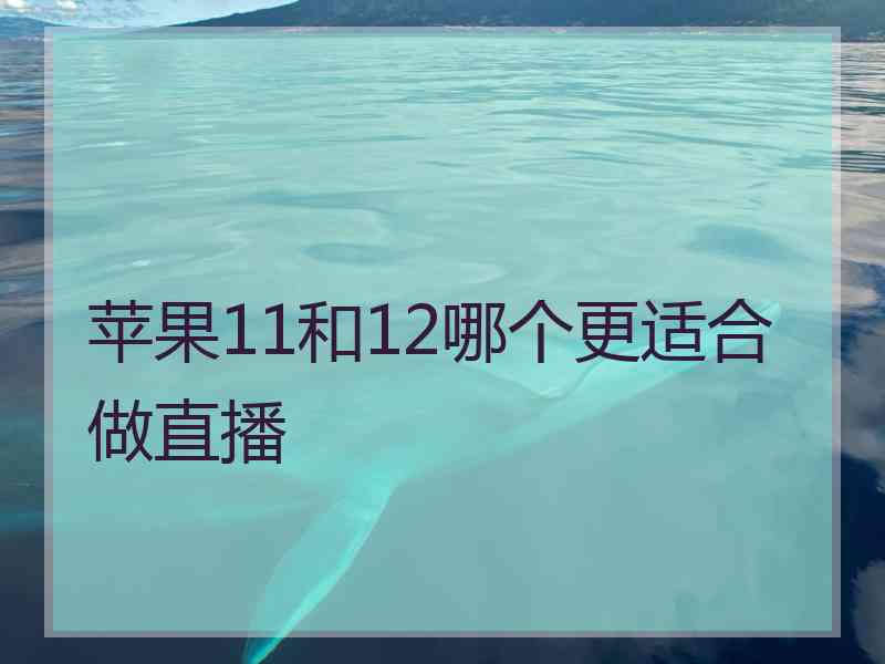 苹果11和12哪个更适合做直播