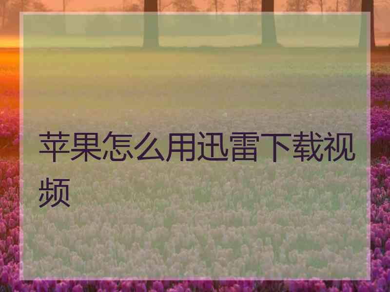 苹果怎么用迅雷下载视频