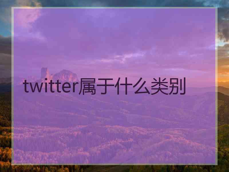 twitter属于什么类别